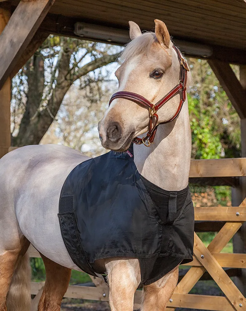 LeMieux Anti Rub Bib Black